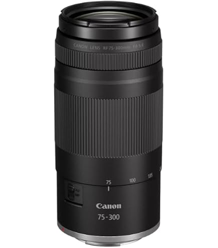CANON ZOOM LENS EF 75-300mm 1:4-5.6 Ⅱ Canon EF 75-300mm F/4-5.6 ii USM Zoom Lens From Japan [Near